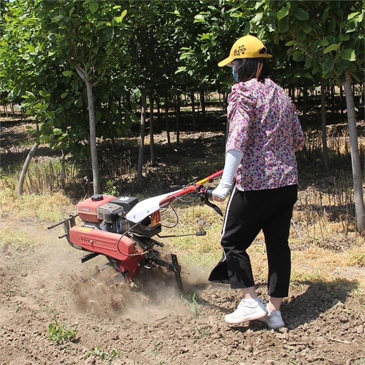 roller tiller          3